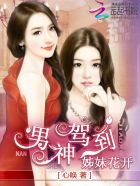 24fa无圣光