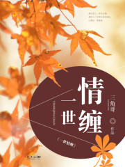 将军在上全集免费播放在线观看