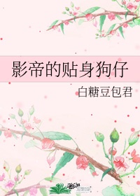 后式入gif图图