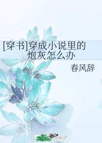 全职法师之穿越给愿望