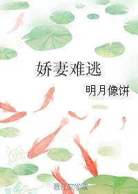 沧海月明珠有泪小说