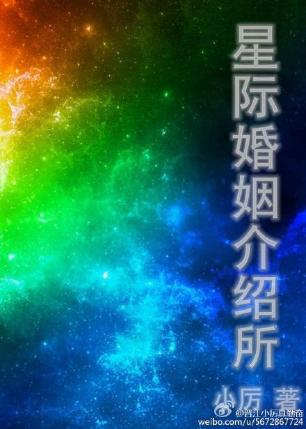 星星狐的体验