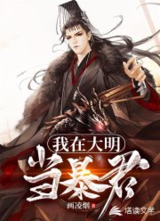 火炬之光2法师属性点