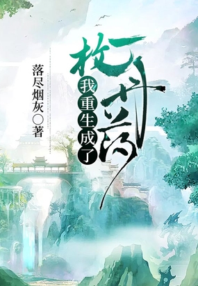 华丽的外出完整版