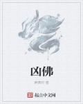 将军不可以!限