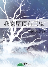 禁止套娃[无限]