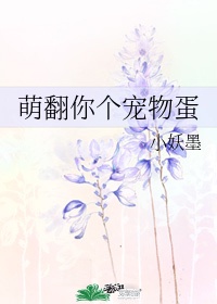 女老师韩剧