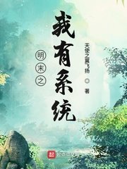 小黄车文