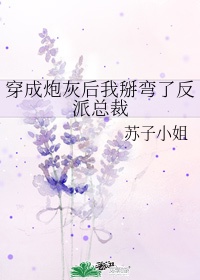 《菊内留香》金银花露