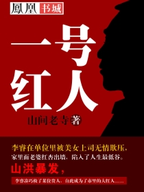 将军在上小说