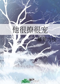 全职法师漫画免费阅读下拉式六漫画