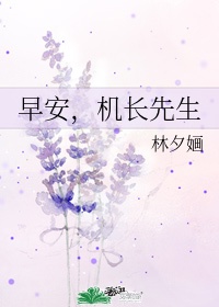 官场欲香之杨雨婷txt