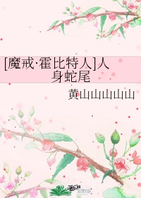 赵四海与方婷完整版