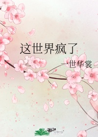 字字珠玑TXL金银花露