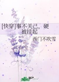 花开半夏小说老于