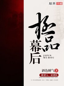 镜子骑士