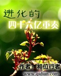 小黄花必备软件推荐