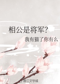 宫锁珠帘陈晓