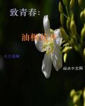 才女雅芬