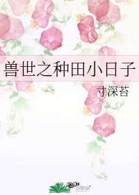 乡村寡妇干柴烈火故事