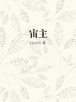 h让人存在感消失的帽子2