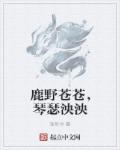 无心法师二免费观看