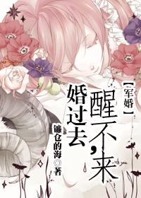 全职法师第六季樱花动漫