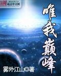 《法国航空》满天星2024