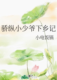 神钢挖掘机的缺点