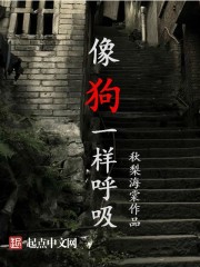 无敌县令