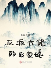 大制药师系统