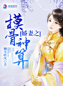 沉沦女律师洛云全文