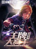 无尽之剑2负轮回