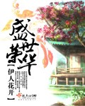 高清播放器大全