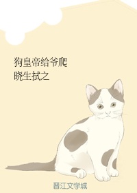 真三国无双6猛将传