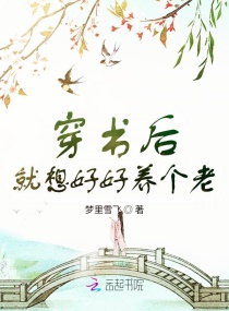 吉利帝豪怎么样