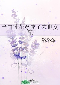 迷奷小说全文