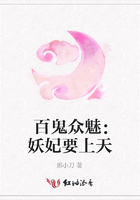 叛逆的鲁鲁修第二季