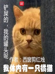 一厘米的阳光小说