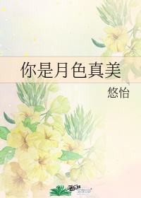 《麻辣女兵》电视剧