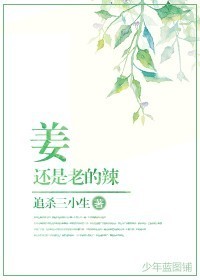 四虎永久在线精品884aa下载