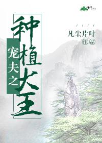 愿以山河聘