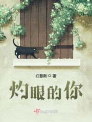 黑猩猩交配