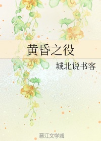 校花小冉黑人系列小说