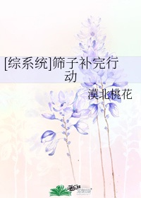 荔枝汽水H