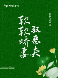 我与漂亮的女教师们