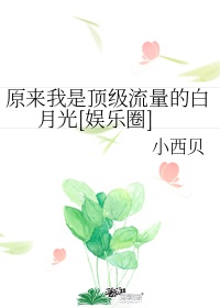 经典wc偷窥小便6