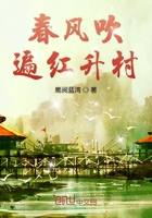 将军家的小媳妇全文