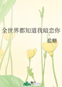 梦幻西游凌波城怎么加点