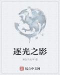 精英律师一共多少集